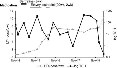 Decreased Expression of Ileal Thyroid Hormone Transporters in a Hypothyroid Patient: A Case Report